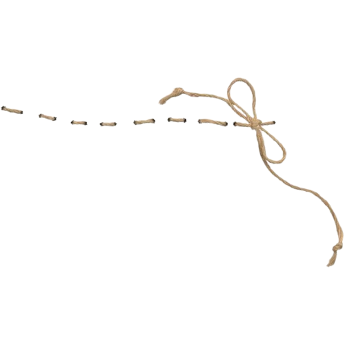 stringlight2
