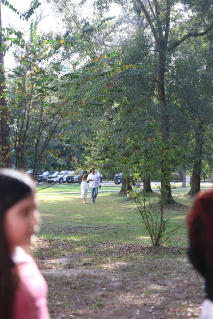 IMG-4151