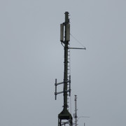 IMG-1337.jpg
