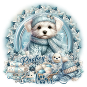 xcd sc 26 Rachey christy
