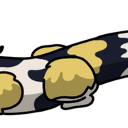 Mottlewhisker