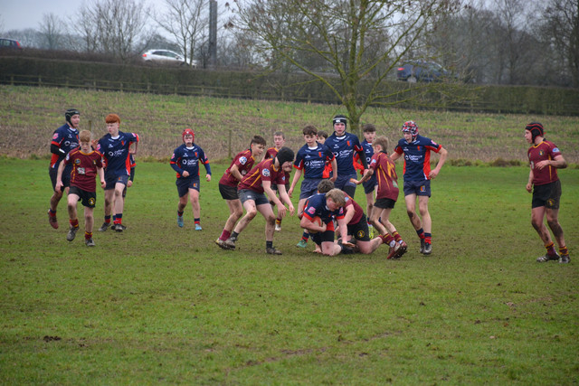 DSC 1365.jpg