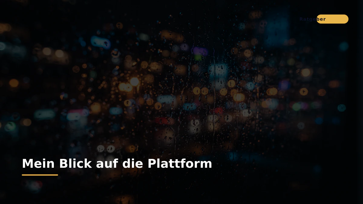 Mein Blick auf die Plattform
