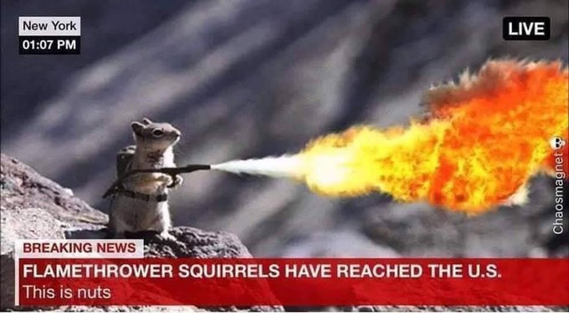 nuts