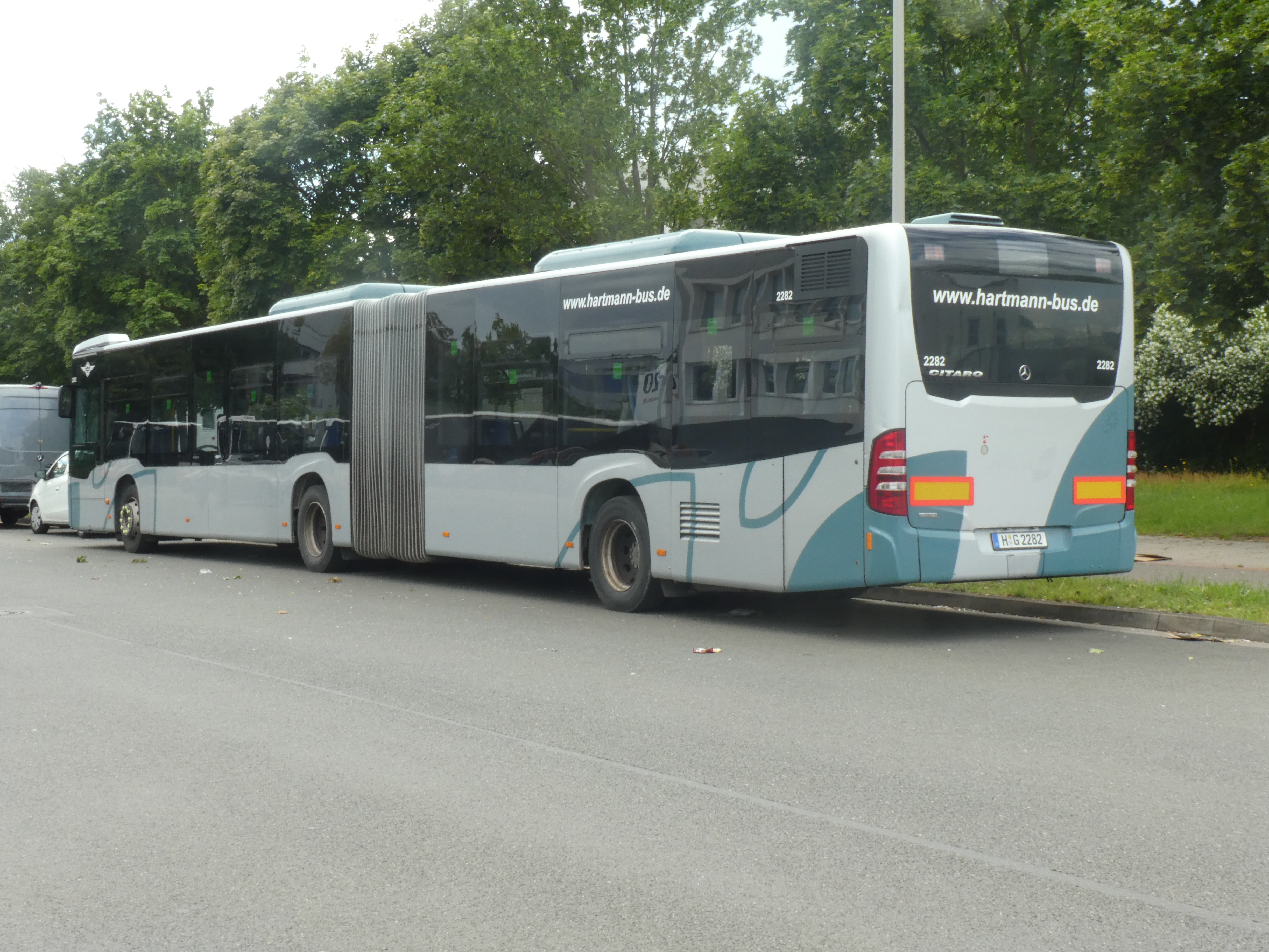 i.ibb.co/JwrGmgFC/Hartmann-2282-4.jpg
