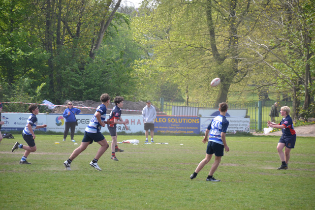 DSC 0509.jpg