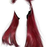 IMG 3469.png