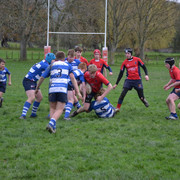 DSC-0491