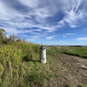 IMG-3317