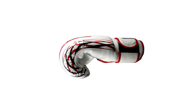 Left Glove