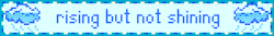 IMG 3541.gif