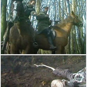 survs-manhunt