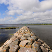 IMG-1431