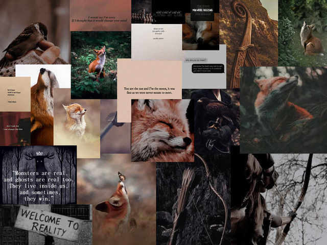 foxyyyyy