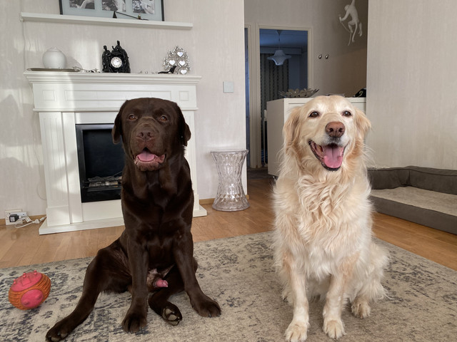 9-F2-D1-F8-F-8-B57-483-F-8586-9-CAB37367