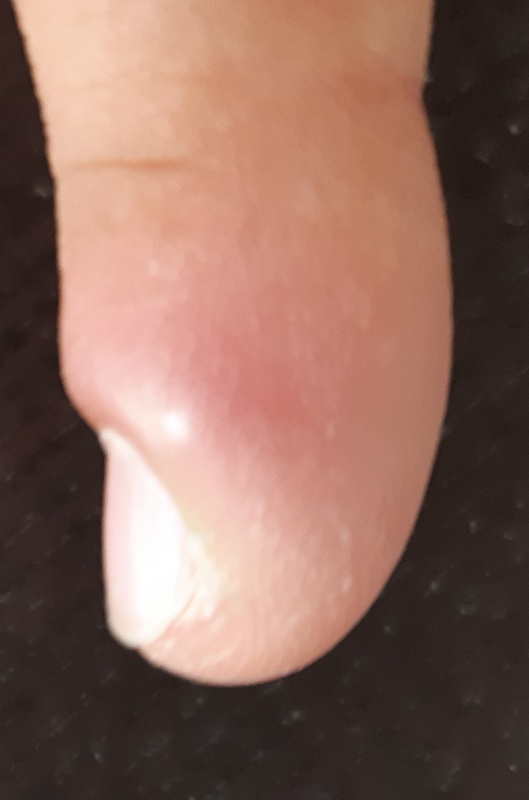 https://i.ibb.co/Jx9rn4w/panari1.jpg