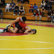 IMG-0266