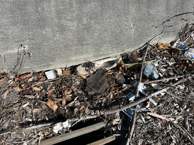 IMG-9348