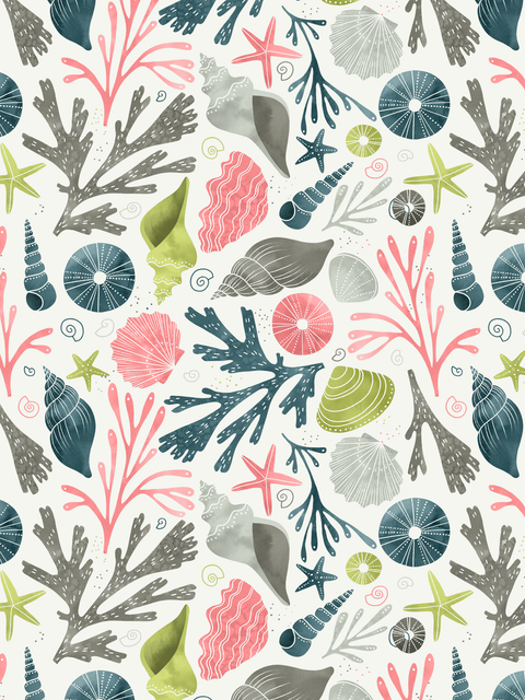 Seashells