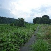 P1330305