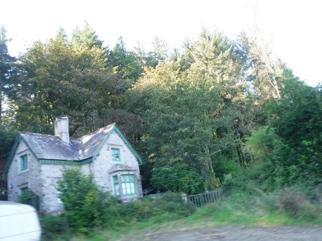 DSCF5503.jpg