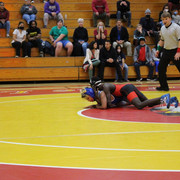 IMG-0398