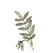 MS-gold-element-5