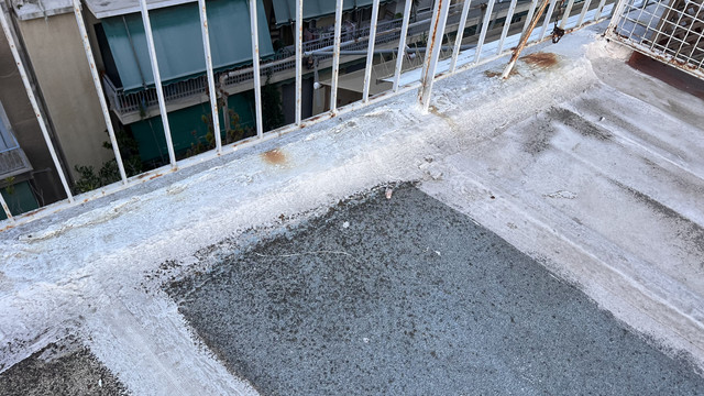IMG-7111.jpg