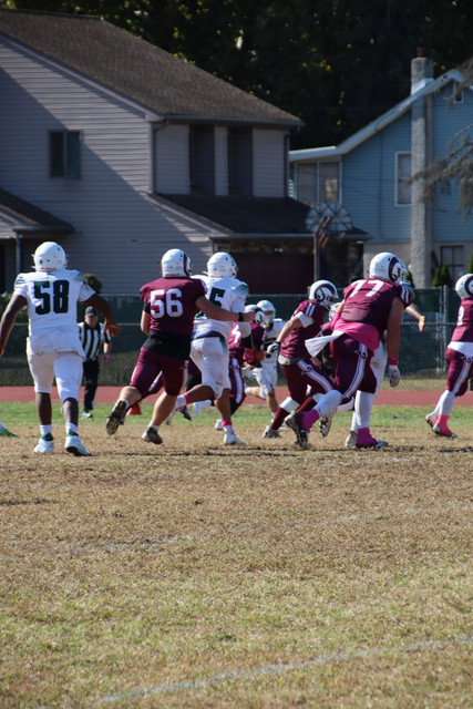 IMG-3546