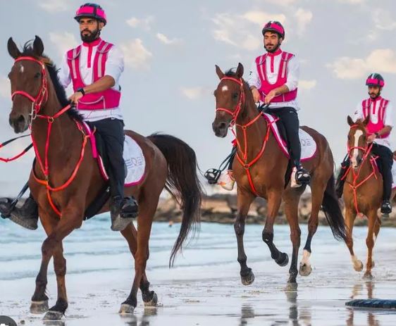 HORSES3