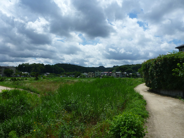 P1320514.jpg