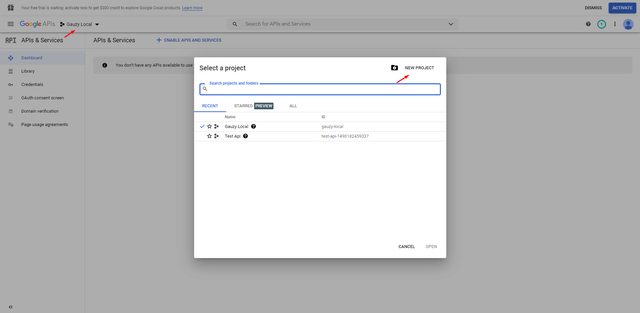 google-project