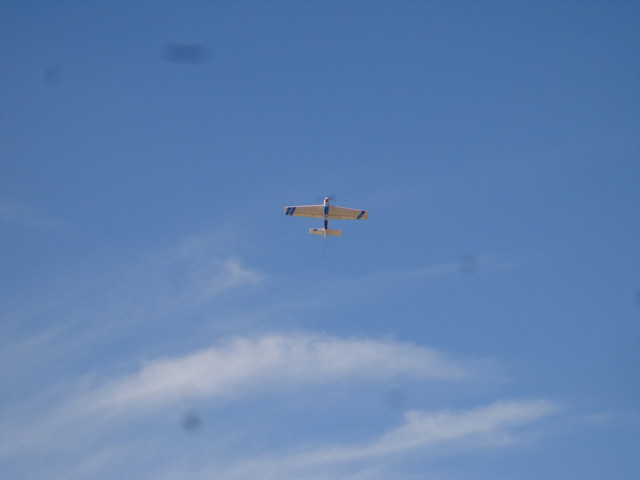 DSC01155.jpg