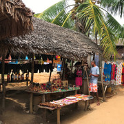 IMG-3645