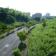 P1340820