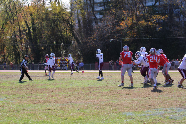 IMG-1153.jpg