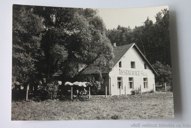 IMG-6313