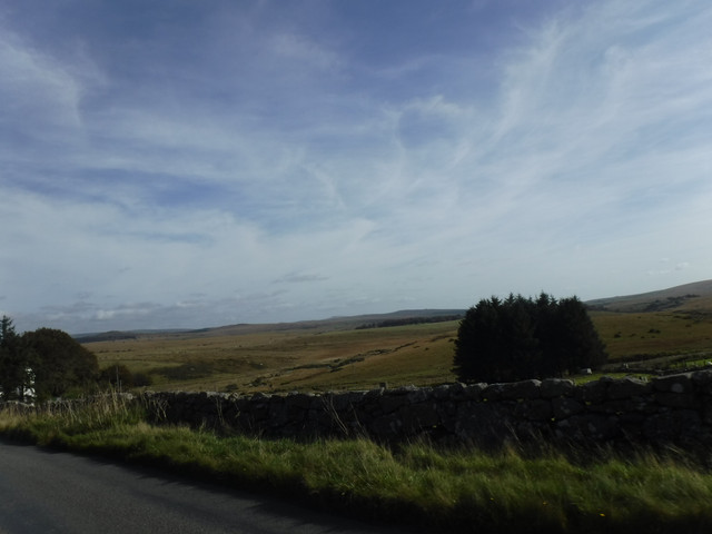 DSCF5513.jpg