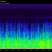 BC-003-Track06-flac
