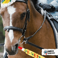 caballo-con-cornetita.gif