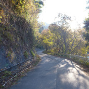 P1130512