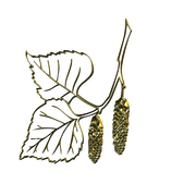 MS-gold-element-3