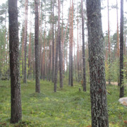 IMG-9666