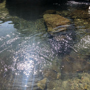 IMG-6153