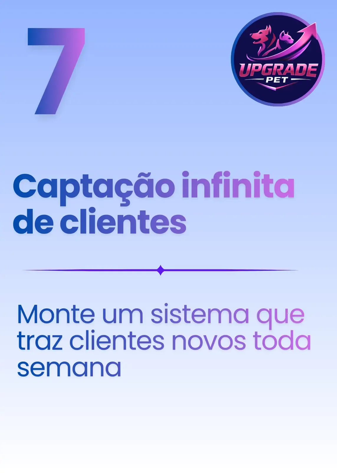 Imagem 7