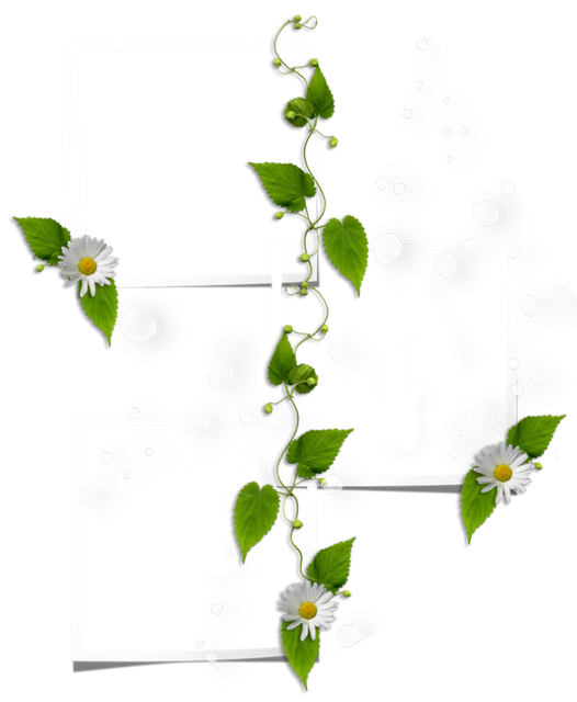 cluster-frame-17