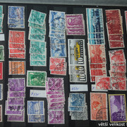 IMG-3638