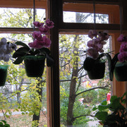 IMG-6132