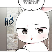 050