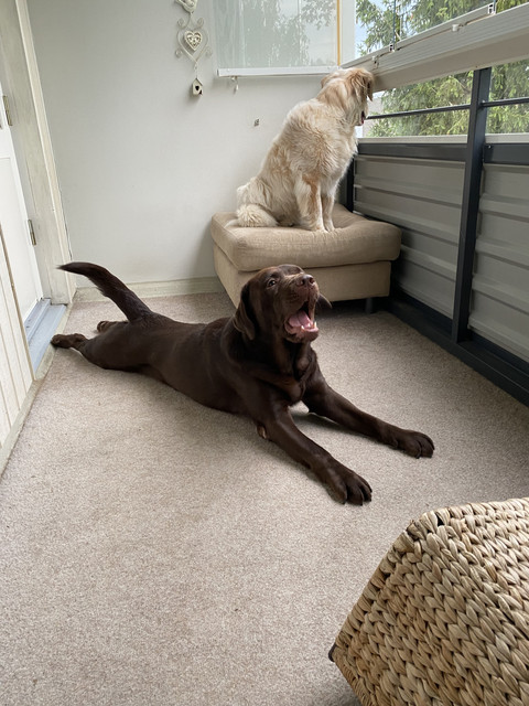 6-A411-AB7-5-E6-C-4478-AB2-C-1-F1-B65-B1